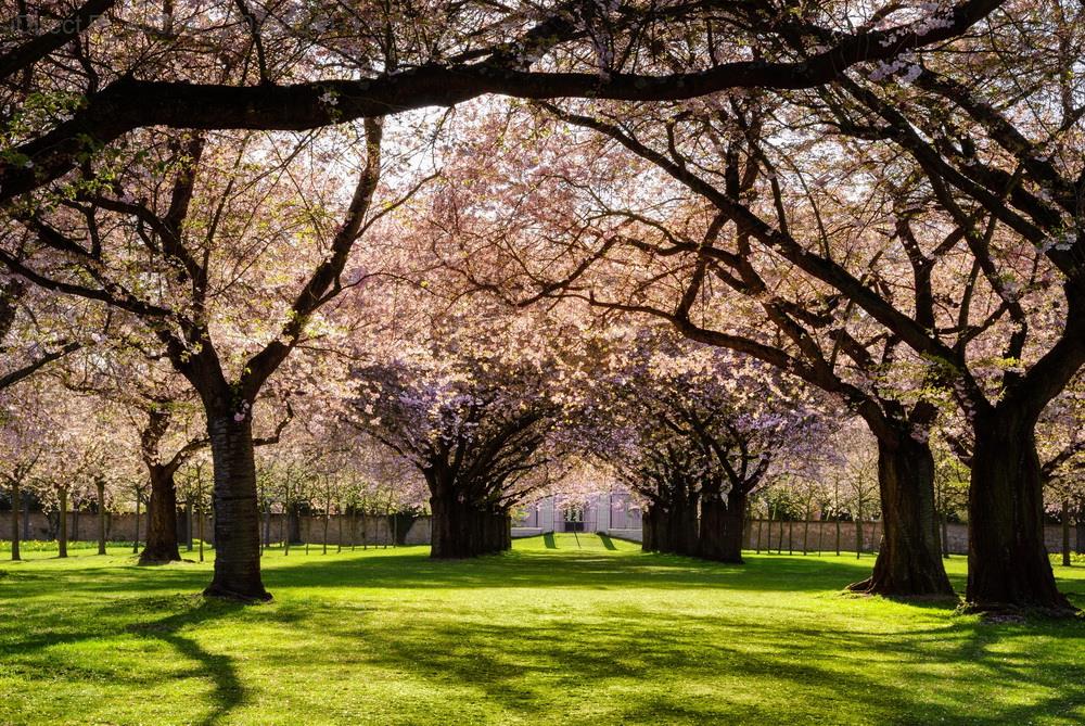 那些說走就走的旅行，為什麼總是錯過北部那些隱藏的秘境？